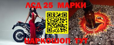 прущие крисы Малгобек