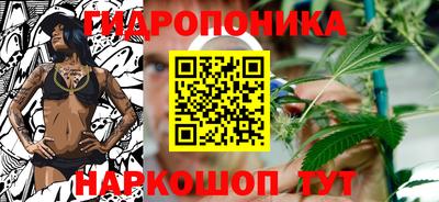 прущие крисы Малгобек