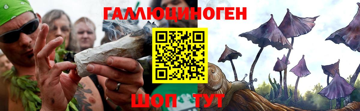 Псилоцибиновые грибы ЛСД  Вход с VPN  где купить наркотик  Псилоцибиновые грибы мухоморы  Вятские Поляны 